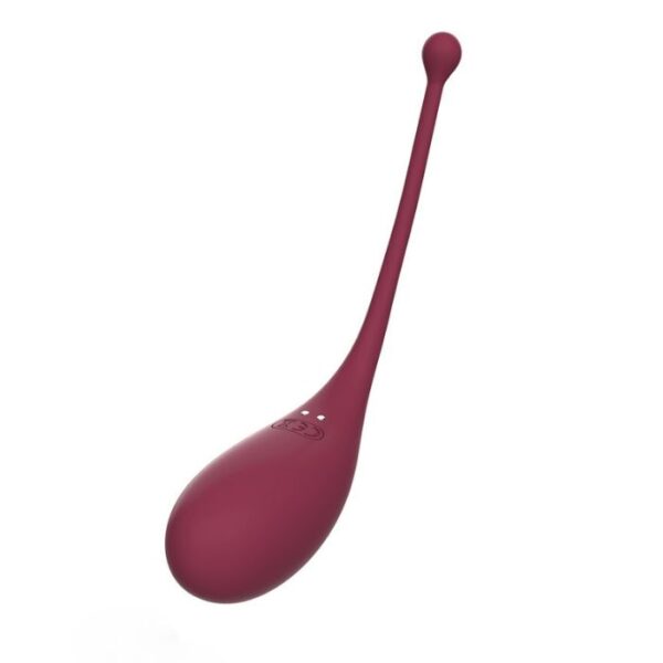 Duo Stimulateur clitoridien aspiration et oeuf vibrant connecté Inspiration Adrien Lastic