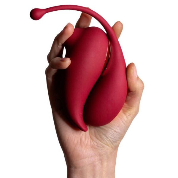 Duo Stimulateur clitoridien aspiration et oeuf vibrant connecté Inspiration Adrien Lastic