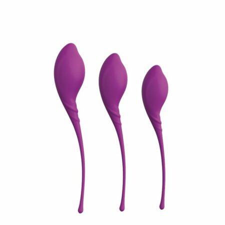 Set 3 Boules de Geisha Kegel Exercice Dream Toys Violet